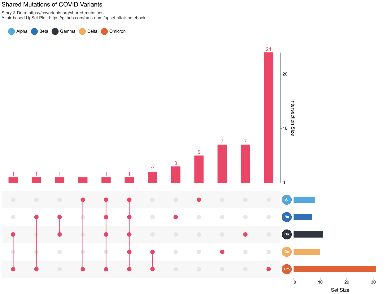 Shared Mutations of COVID Variants UpSet Plot